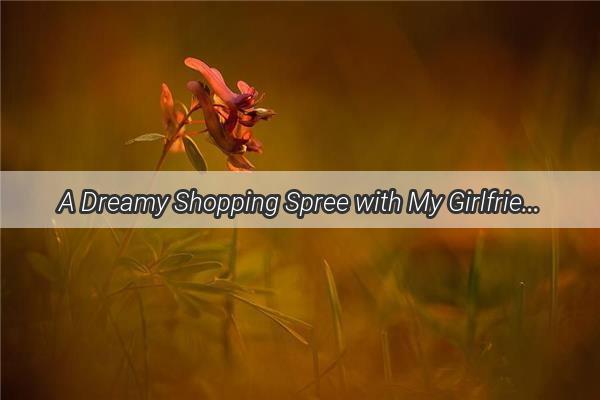 A Dreamy Shopping Spree with My Girlfriend A Heartwarming Tale of Intimate Moments and Unforgettable Memories